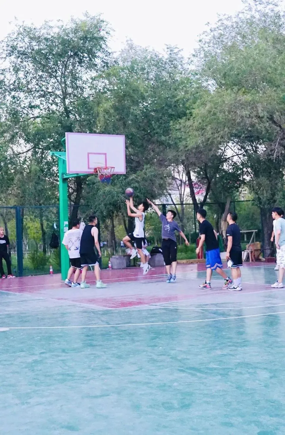 为什么篮球教练的经验很重要_0